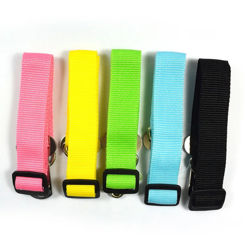 Dog Collars Leads Vehicle Car Dog Seat Belt